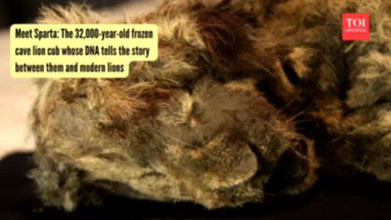 Frozen Cave Lion Cubs Reveal a Million-Year-Old Evolutionary Mystery