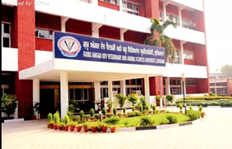 GADVASU Develops Protein-Rich Spread from Small Eggs to Boost Farmer Income
