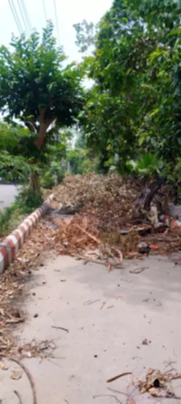 Garbage and Encroachments Plague Ranjit Avenue Amid Mission Clean Punjab
