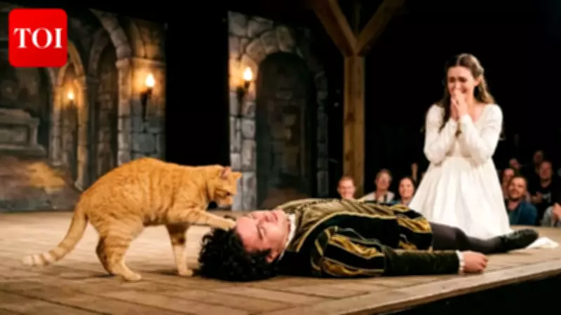Ginger Cat Tries to Rewrite Romeo and Juliet's Tragic Ending in Turkey