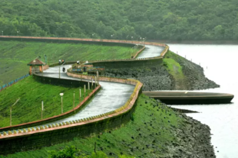 Goa's Anjunem Dam Water Level Drops to 10%, But Supply Adequate for 30 Days