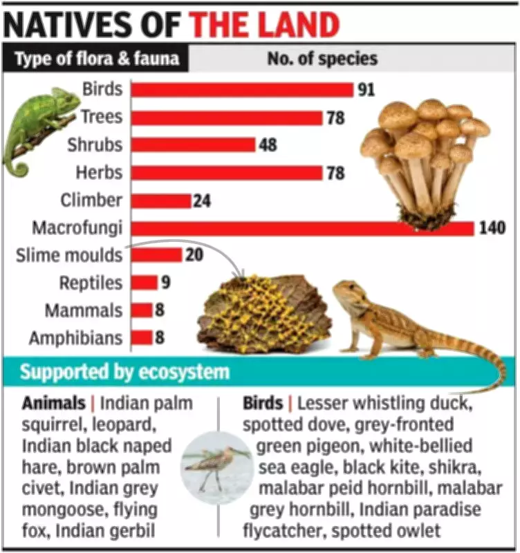 Goa’s Betul Plateau Study Reveals Rich Biodiversity, Carbon Sink Potential