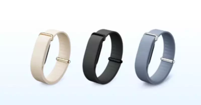 Google's Screenless Fitbit Air Fitness Tracker to Launch in India Soon