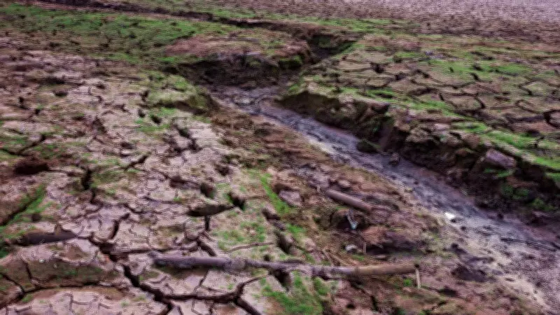 Govt Warns Severe El Nino to Hit 12 States' Kharif 2026 Crops