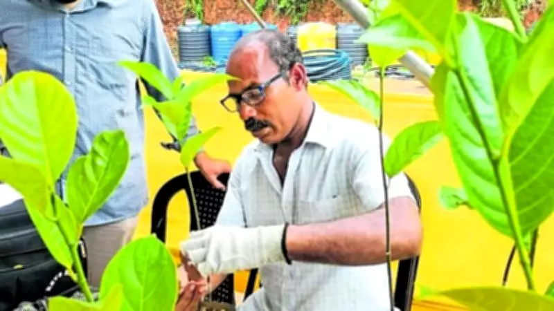 Grafting Campaign Celebrates Jackfruit Diversity in Coastal Karnataka
