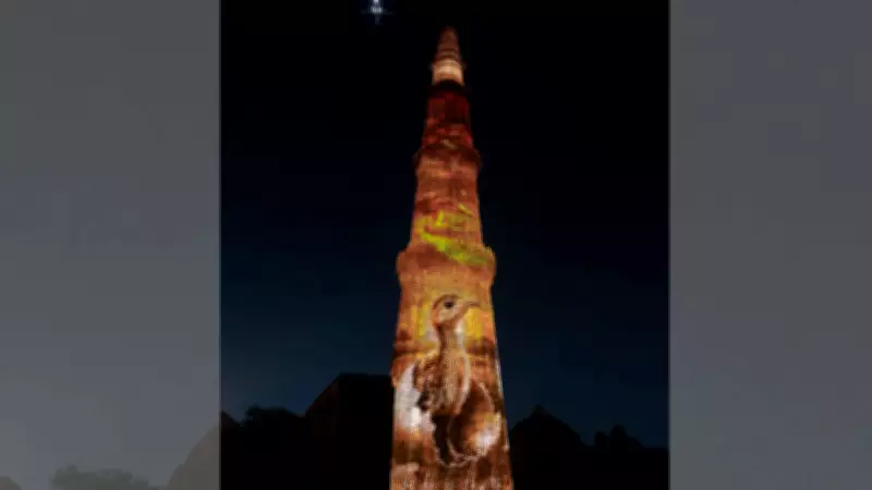 Great Indian Bustard Gets Global Spotlight with Qutub Minar Projection