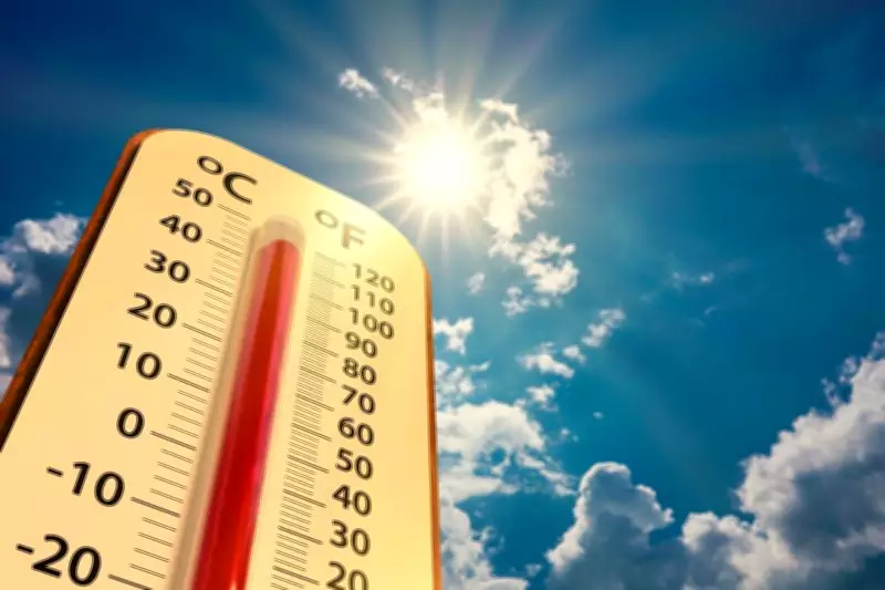 Gurugram Among 12 Cities Selected for Heat Resilient City Project