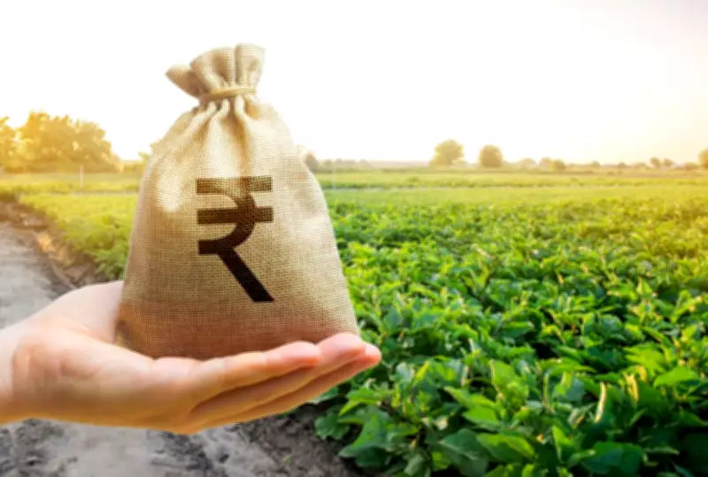 Haryana launches FPO Mission-2026 to boost farmers' incomes, strengthen rural economy