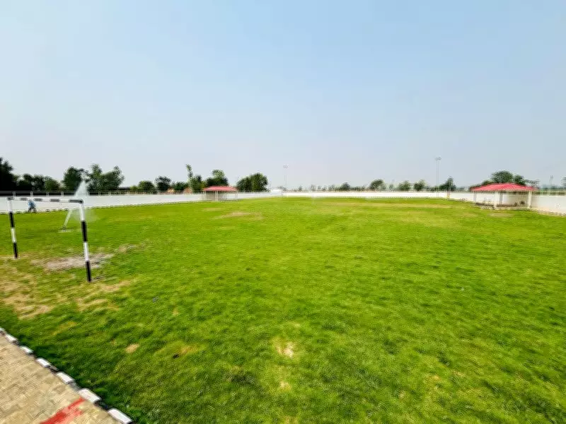 Haryana Shuts Down 11 Sports Nurseries Over Norm Violations