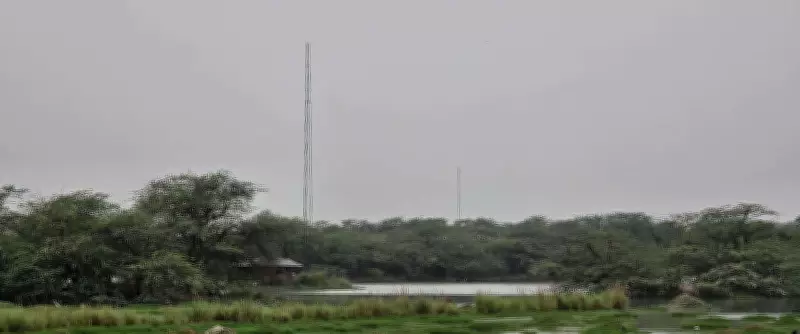 Haryana's First AI-Powered Bird Census Starts at Sultanpur National Park