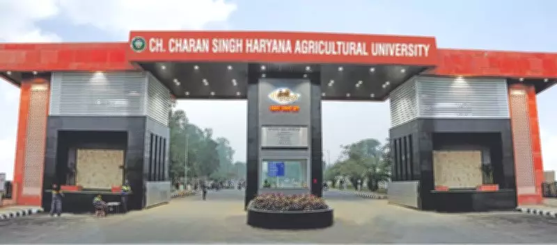 HAU Hisar mandates prior approval for all media communications