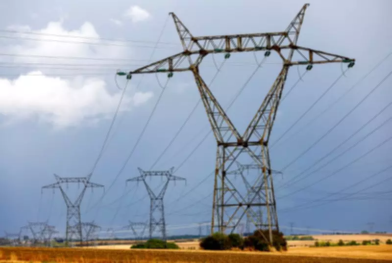 HC: Electricity Supply Integral to Right to Live with Dignity; No One Can Be Expected to Live Without It