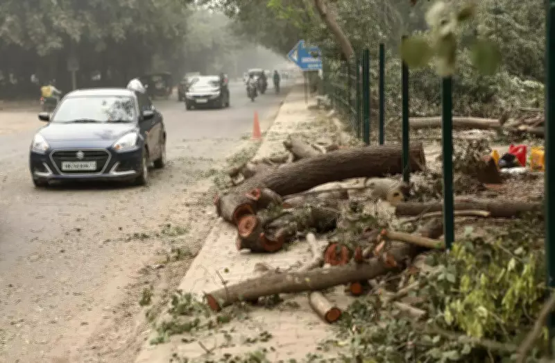HC Order Saves Hundreds of Trees in Gurgaon Metro Project