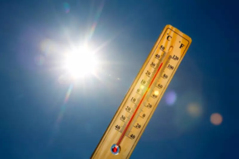 Heatwave in Delhi NCR Causes 40% Surge in Wildlife Rescue Calls