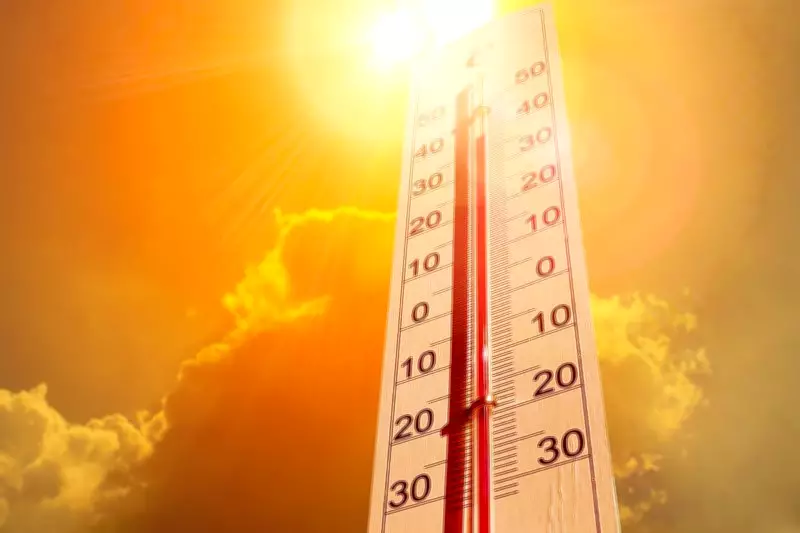 Heatwaves Fuel Dangerous Ozone Pollution, IIT-Kharagpur Study Warns