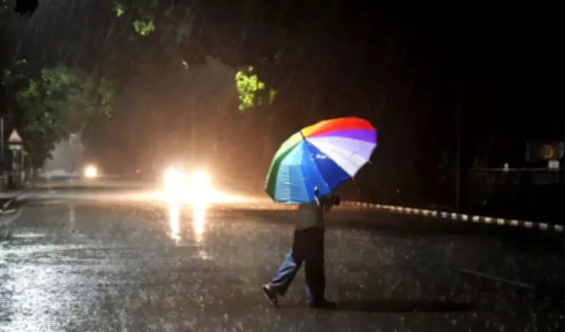 Heavy Rain Likely in Punjab, Haryana from July 2; Temperatures to Dip