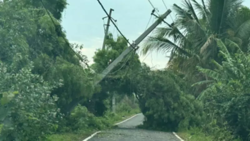 Heavy Rains Batter Parts of Old Mysuru Region