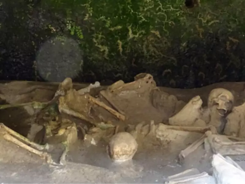 Herculaneum Victim's Brain Turned to Glass by Vesuvius Eruption