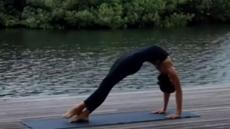 Hollywood Stars Embrace Yoga for Fitness, Stress Relief, and Peak Performance