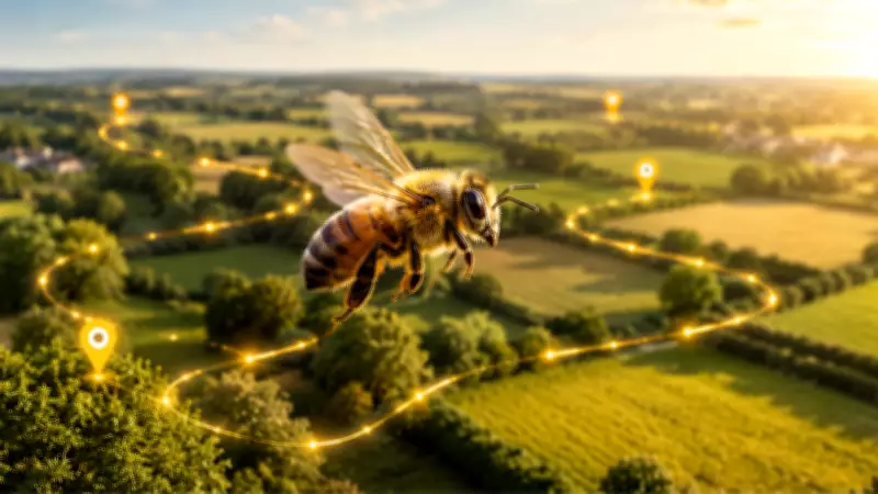 Honey Bees Follow Personal GPS-Like Routes with Centimeter Precision, Study Finds