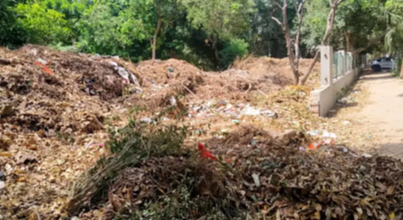 Horticulture Waste Piles in Gurgaon Park Spark Health Concerns