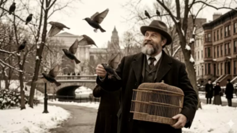 How a Shakespeare Fan's 100 Starlings Became 200 Million in North America