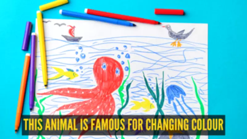 How Chameleons Change Color: The Science Behind the Magic
