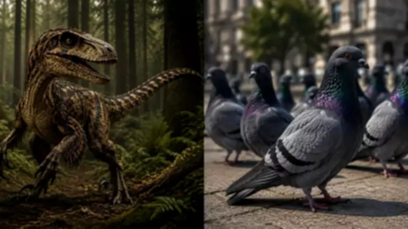 How Dinosaurs Evolved Into Birds: New Fossil Discoveries