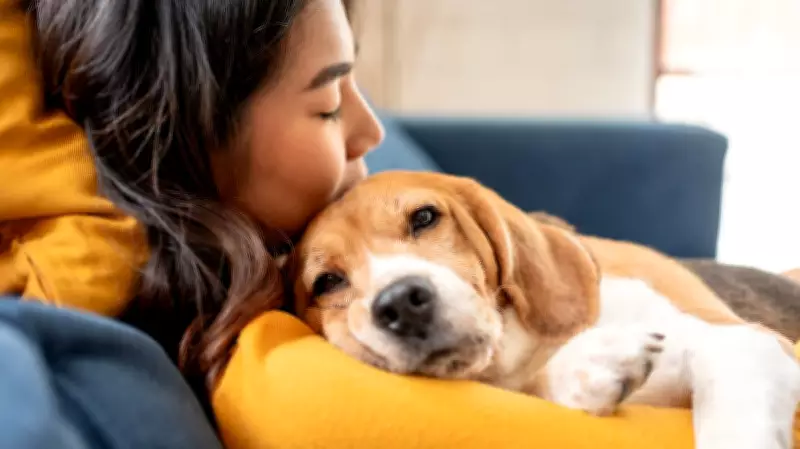 How Pets Help Navigate Empty Nests and New Beginnings