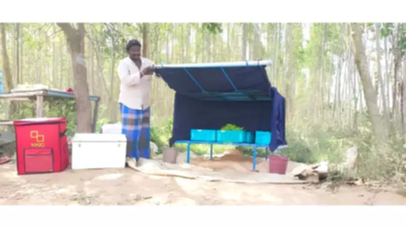 How Phase Change Materials and Cooling-as-a-Service Are Revolutionising India's Cold Chain