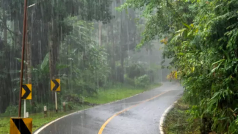 How Trees Act as Natural Flood Control During Monsoon Season