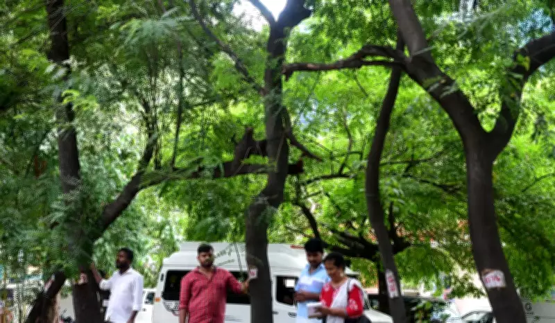 How Two Friends Transformed Bengaluru's JP Nagar Ring Road Median into a Green Corridor