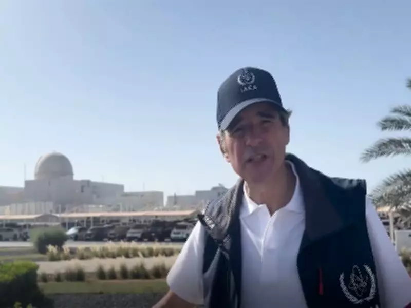 IAEA Pledges Technical Support to UAE After Drone Strike on Nuclear Plant