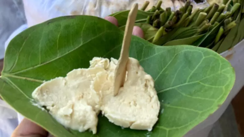 Ice Cream on a Leaf: A Traditional Delight Survives in Amritsar Streets