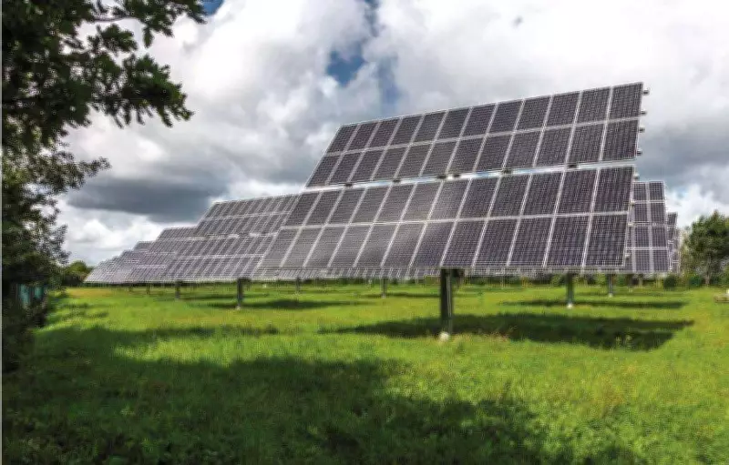 IEA Lauds India's Renewable Energy Success as Model for Southeast Asia