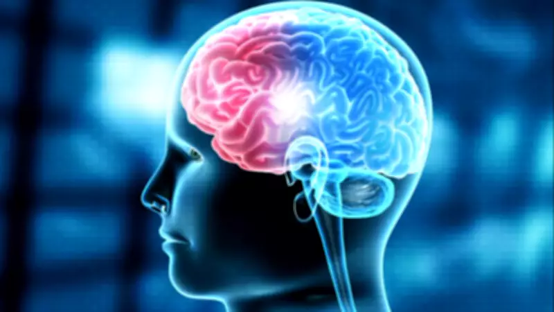 IIT Madras Unveils World's Most Detailed 3D Atlas of Human Brainstem