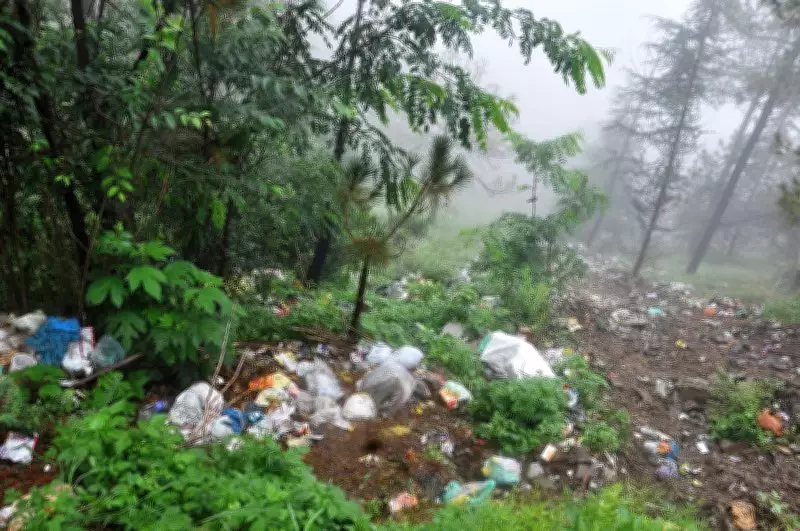 Illegal Debris Dumping in Shimla Forests Continues Unchecked Despite Flying Squad