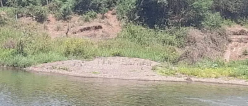 Illegal Sand Mining Surges in Dry Riverbeds of Krishna, Bhima Basins