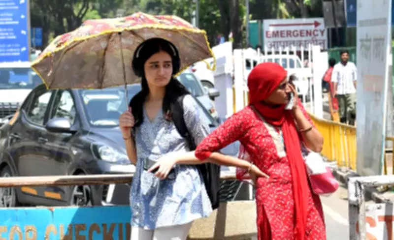 IMD Predicts Dry Weather, Rising Temperatures in Haryana, Punjab for Next 5 Days