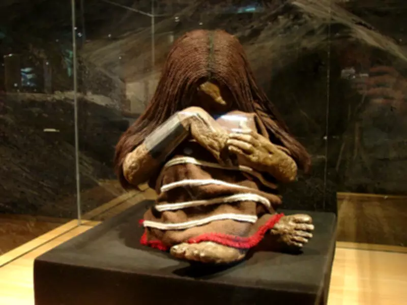 Inca Child Sacrifice Discovery on Cerro El Plomo: A Frozen Window into Ancient Rituals