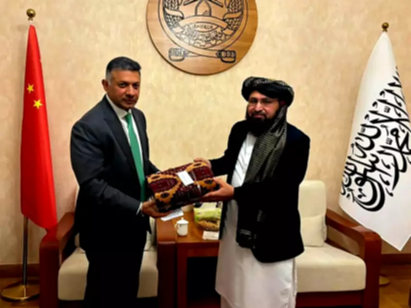 India and Afghanistan Discuss Deepening Cooperation in Beijing Meeting