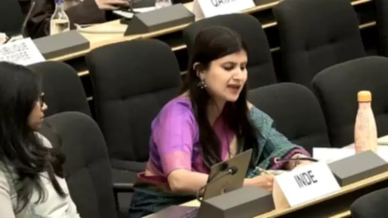 India Calls Pakistan a 'Frankenstein State' at UN Over Terrorism