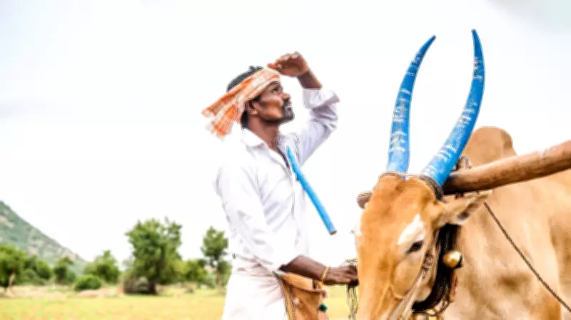 India Faces Severe Super El Niño Threat in 2026, Risking Monsoon and Economy