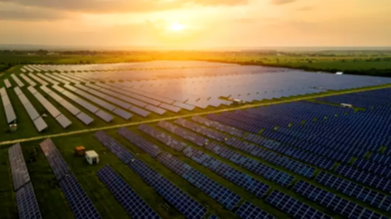 India Reaches 150 GW Solar Capacity, Eyes Self-Reliance and Market Diversification