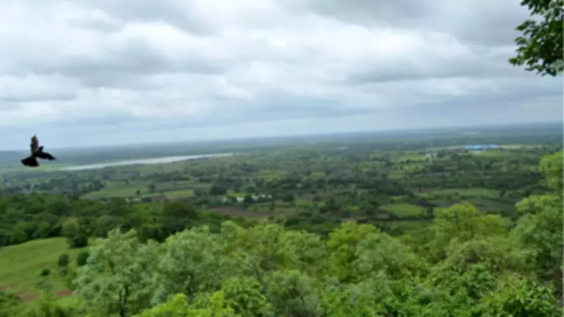 India Restores 21.7 Million Hectares of Degraded Land, Progress Report Shows