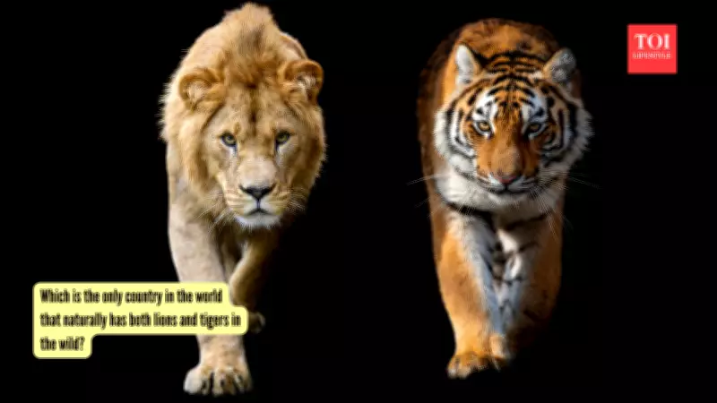 India: The Only Country Home to Both Wild Lions and Tigers