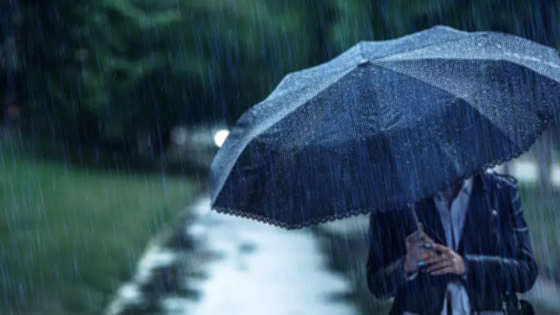 India’s July Rainfall Likely Below Normal: IMD Forecast