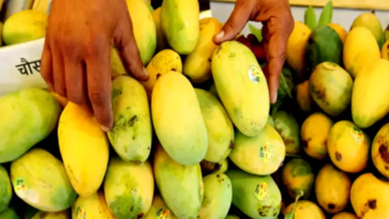 India's mango exports reach 45 countries; US shipments surpass last year's total: APEDA chief