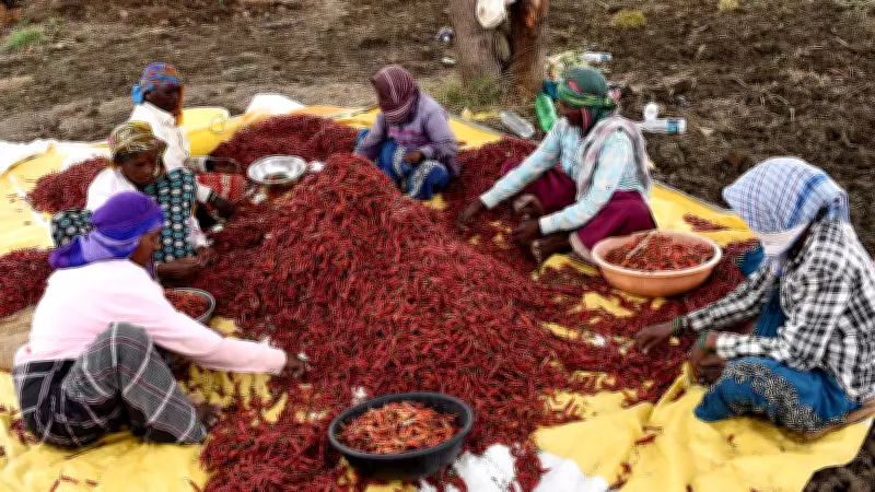 India's Spice Exports Drop 33% Amid West Asia Conflict, Ukraine War