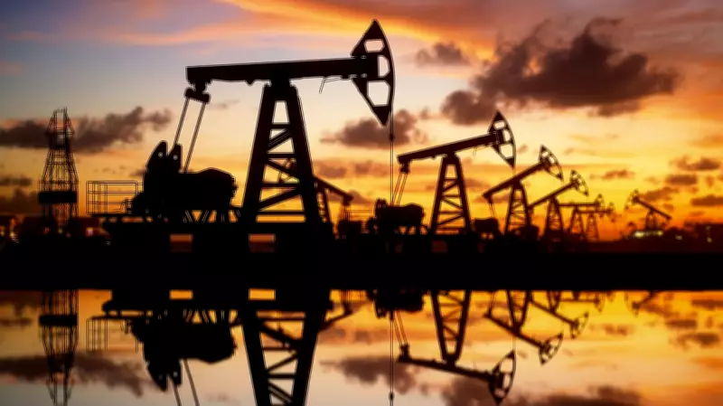 India's strategic oil reserves cover only 9-10 days of imports: CEEW